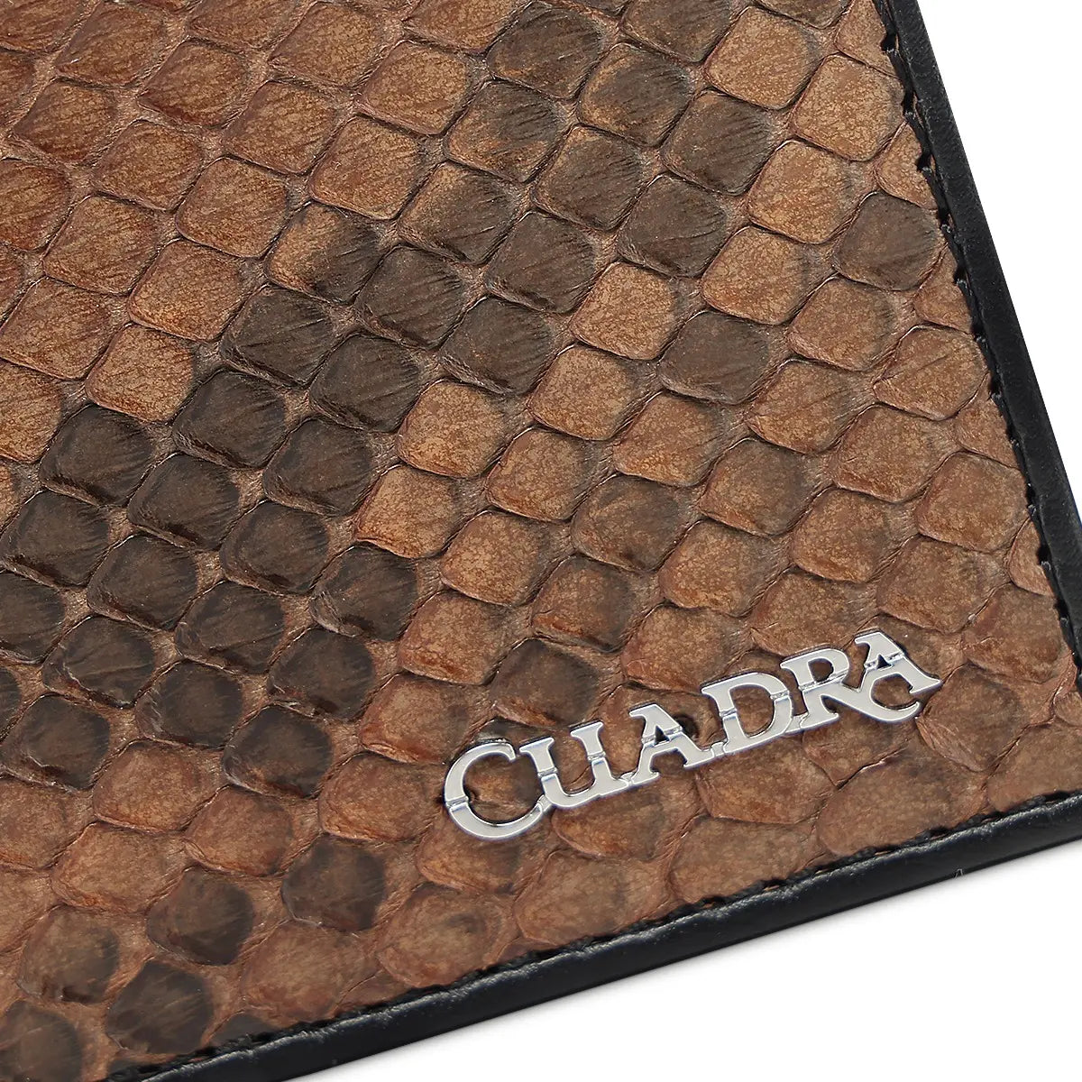 Cuadra Billetera de Hombre en Piel de Pitón Chocolate Color Marrón Liso