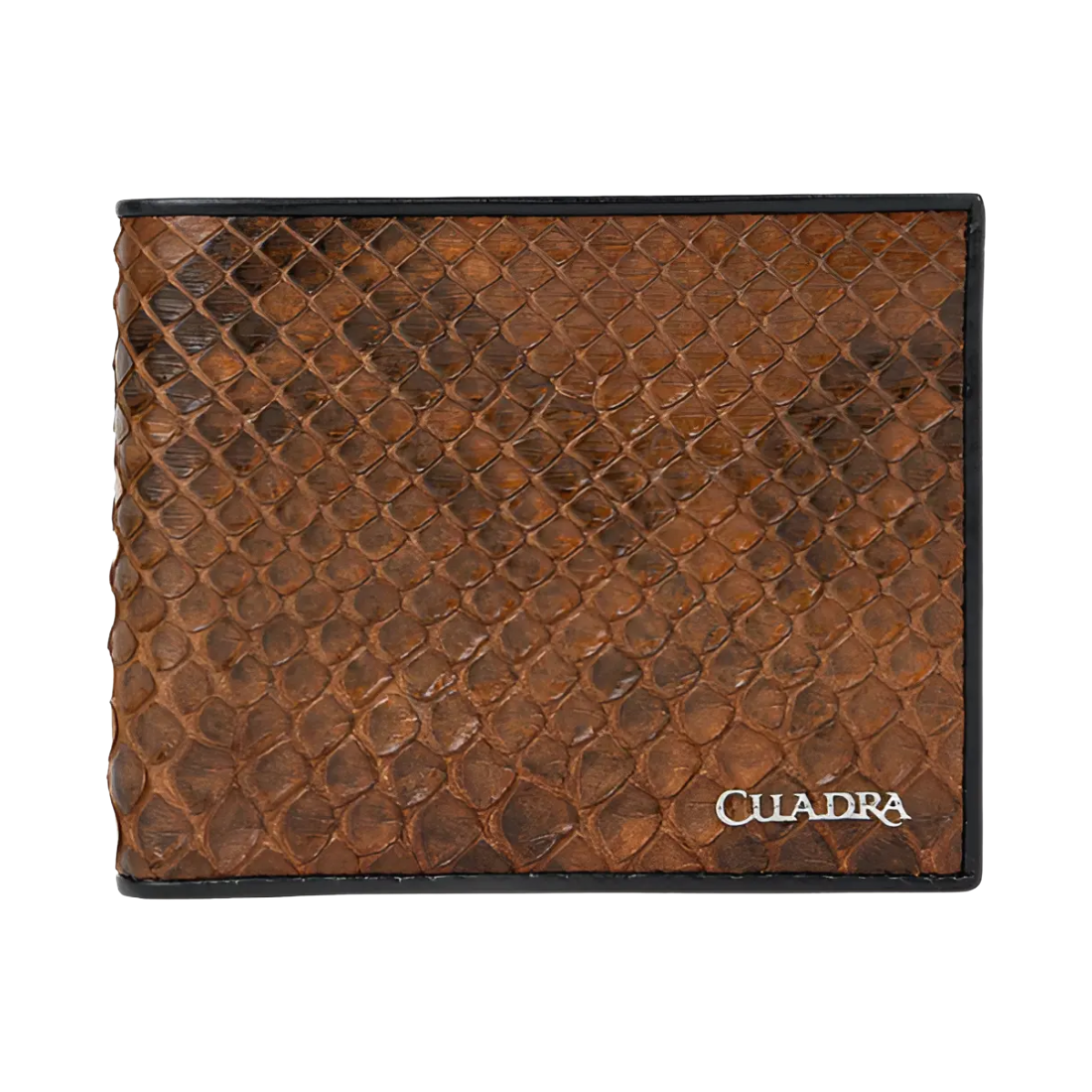 Billetera Cuadra Pitón para Caballero BC007PH